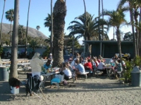 Catalina 584.JPG